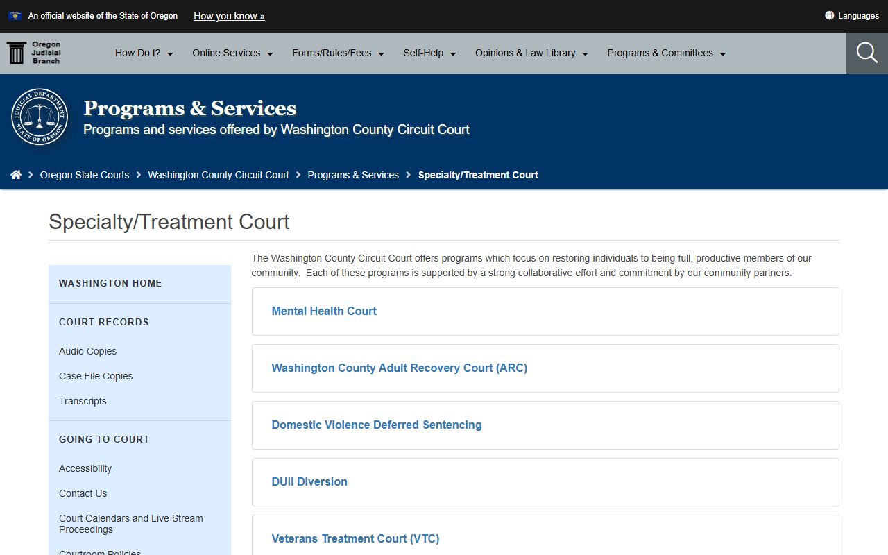 Washington County Circuit Court specialty and treatment court records program page
